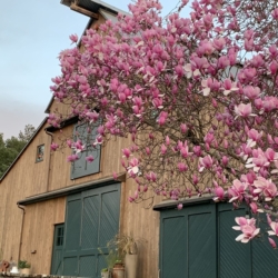 The Atwood Ranch Barn
